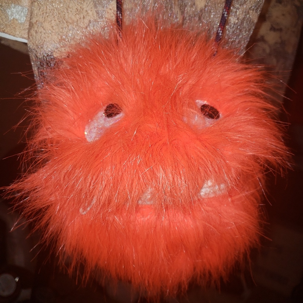 J Crew Monster Purse